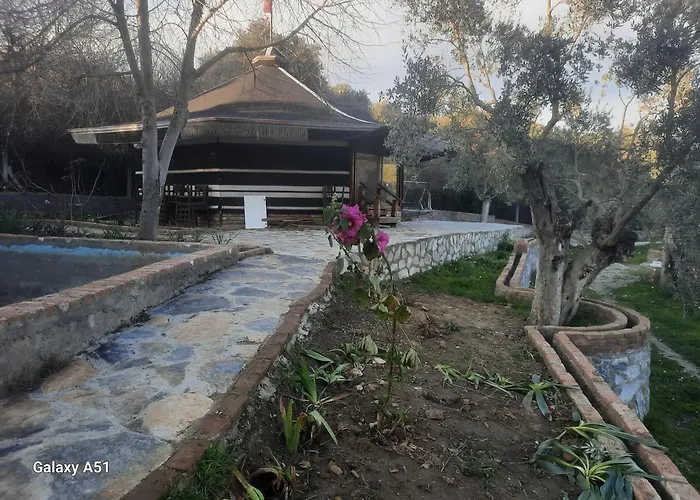 Ali Dede Κάμπινγκ Κουσάντασι