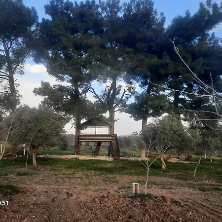 Ali Dede * Κουσάντασι