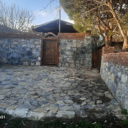 캠프장 Ali Dede *