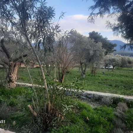 Campsite Ali Dede Kusadasi