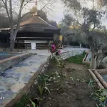Ali Dede אתר קמפינג קוסדסי