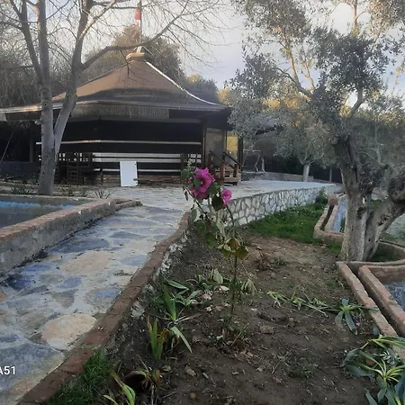 Ali Dede אתר קמפינג קוסדסי